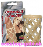 Erekčná mriežka